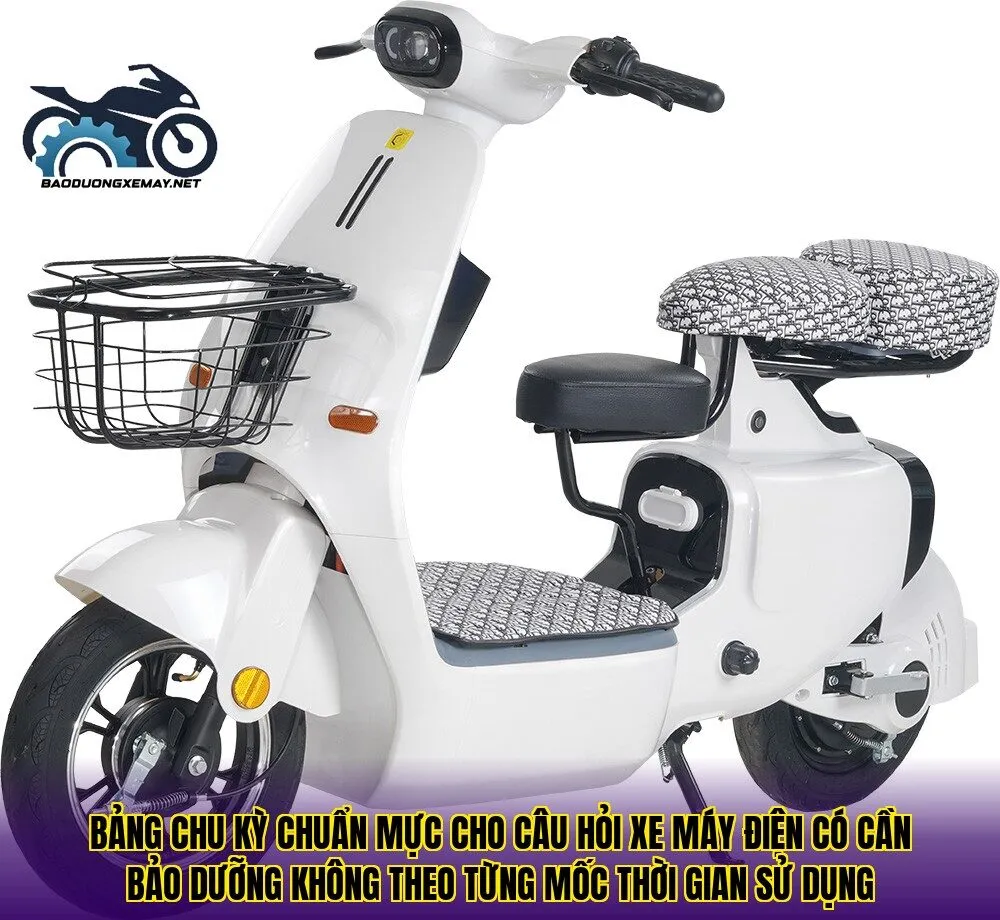 Bảng chu kỳ chuẩn mực cho câu hỏi xe máy điện có cần bảo dưỡng không theo từng mốc thời gian sử dụng