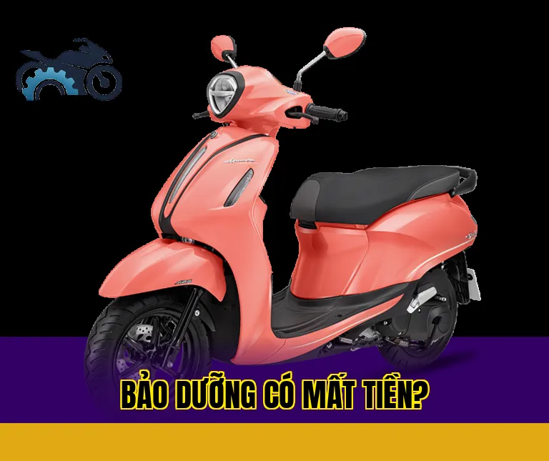 Bảo dưỡng có mất tiền?