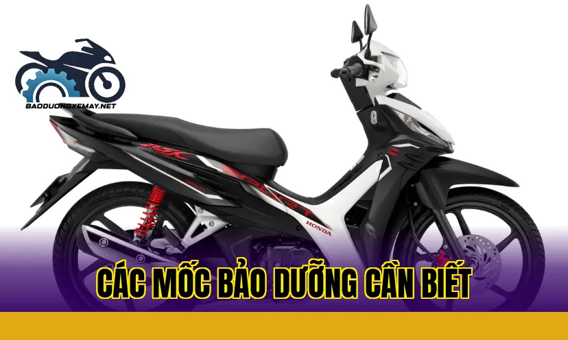 Các mốc bảo dưỡng cần biết