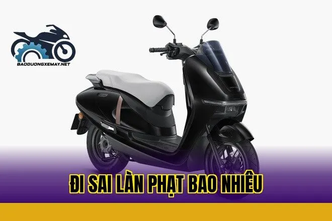 Đi sai làn phạt bao nhiêu