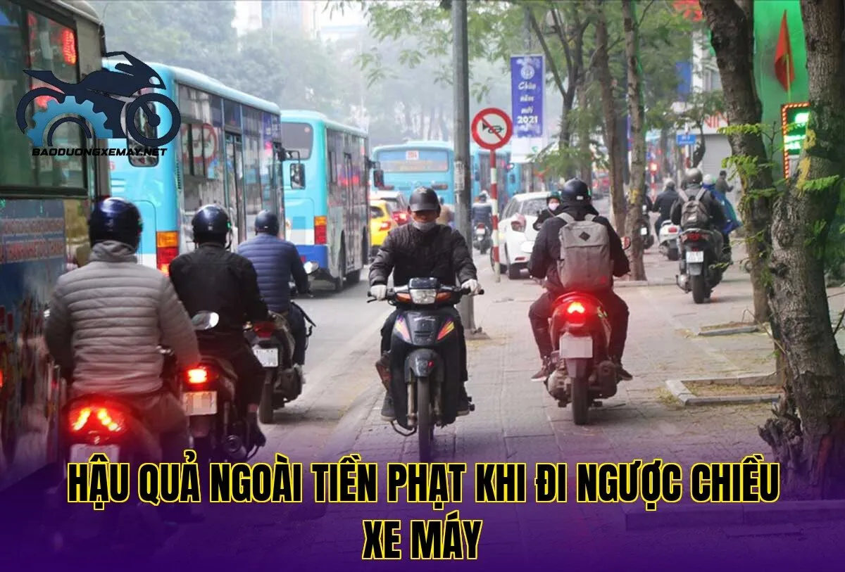 hậu quả ngoài tiền phạt khi đi ngược chiều xe máy