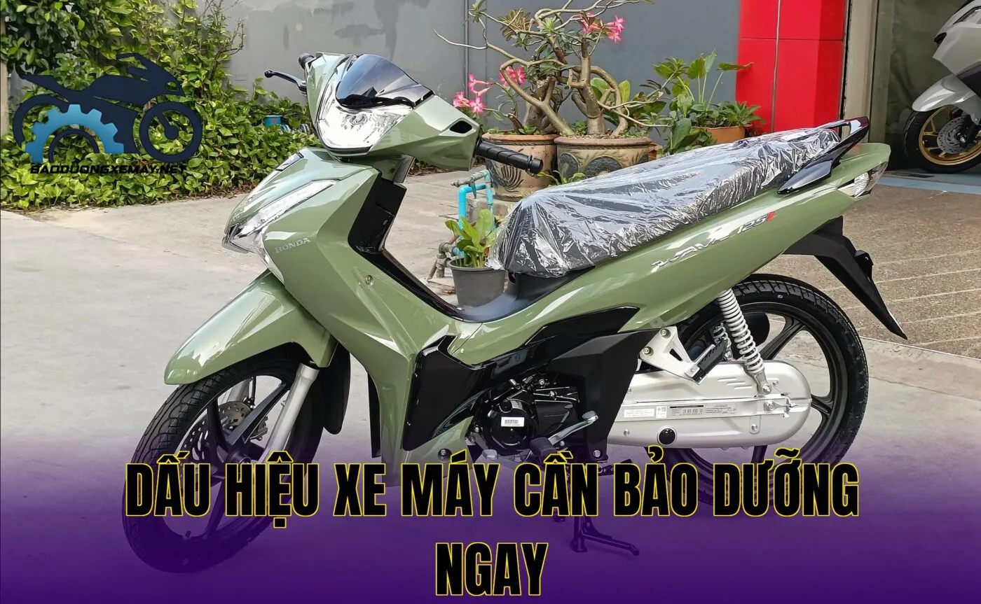 dấu hiệu xe máy cần bảo dưỡng ngay