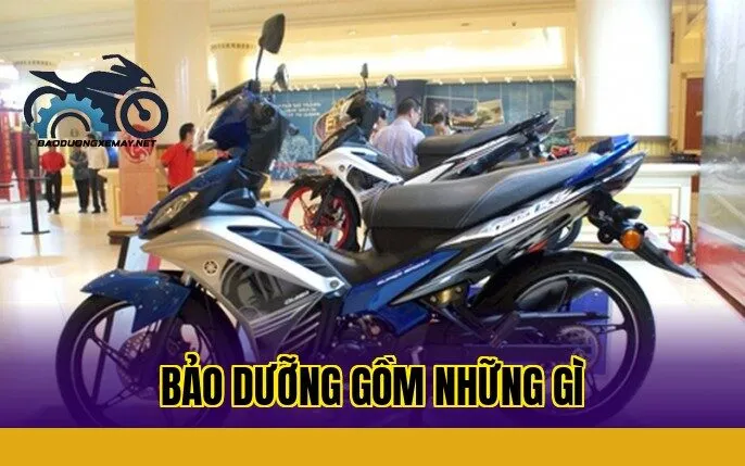 Bảo dưỡng gồm những gì