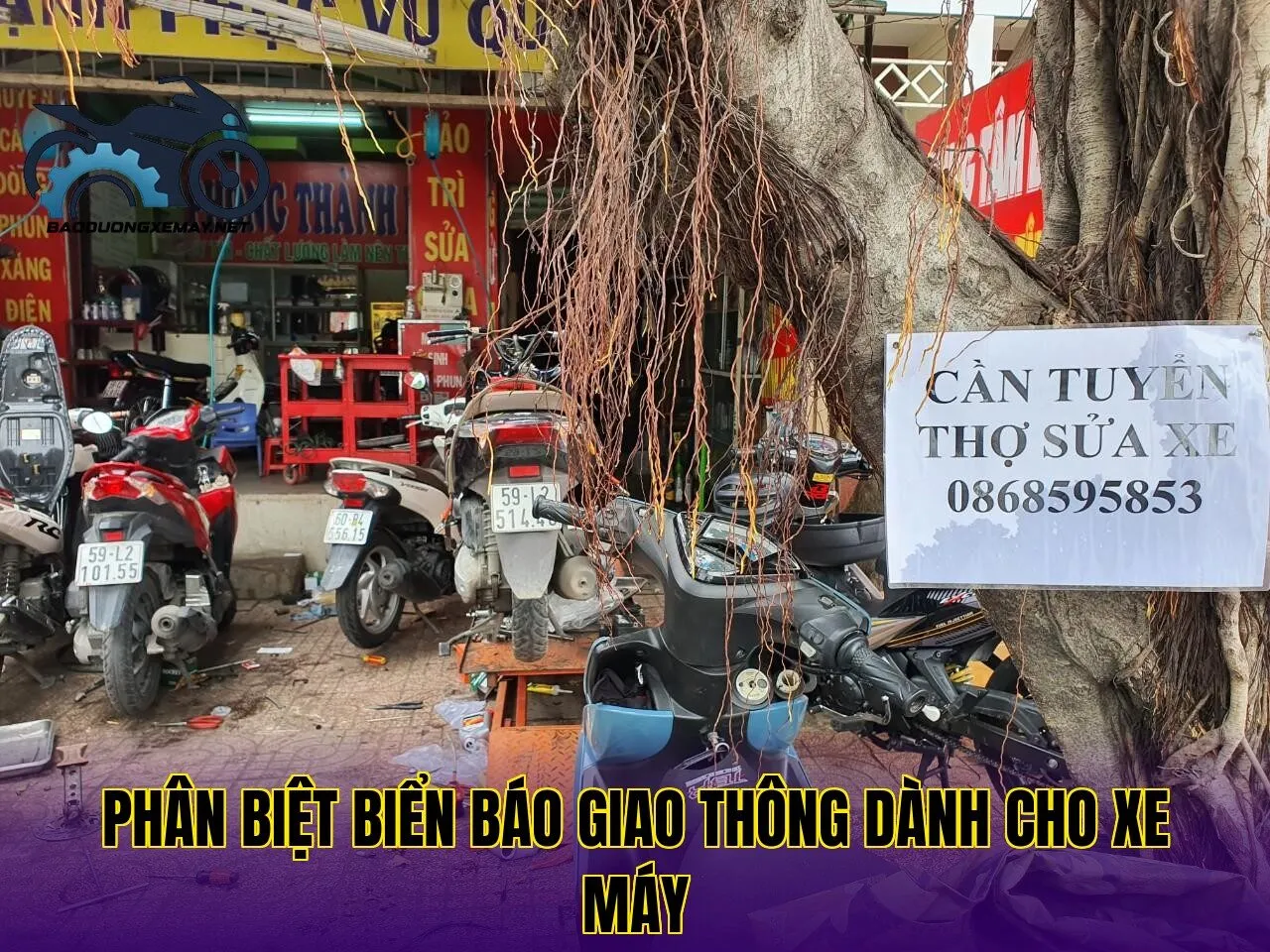 phân biệt biển báo giao thông dành cho xe máy