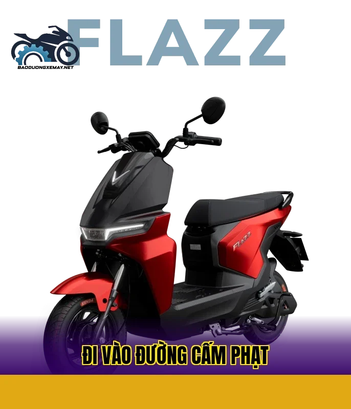 Đi vào đường cấm phạt