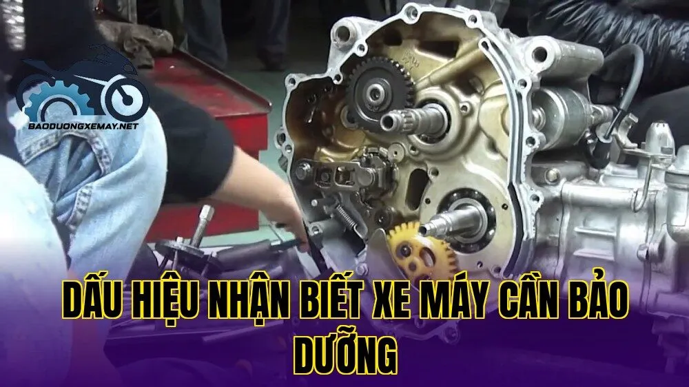 dấu hiệu nhận biết xe máy cần bảo dưỡng