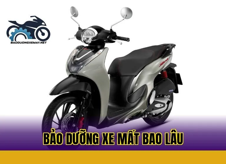 Bảo dưỡng xe mất bao lâu