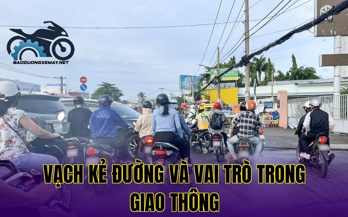 vạch kẻ đường và vai trò trong giao thông