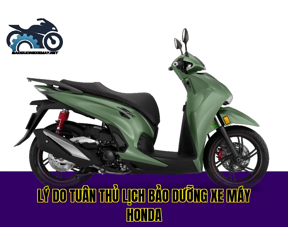 lý do tuân thủ lịch bảo dưỡng xe máy Honda