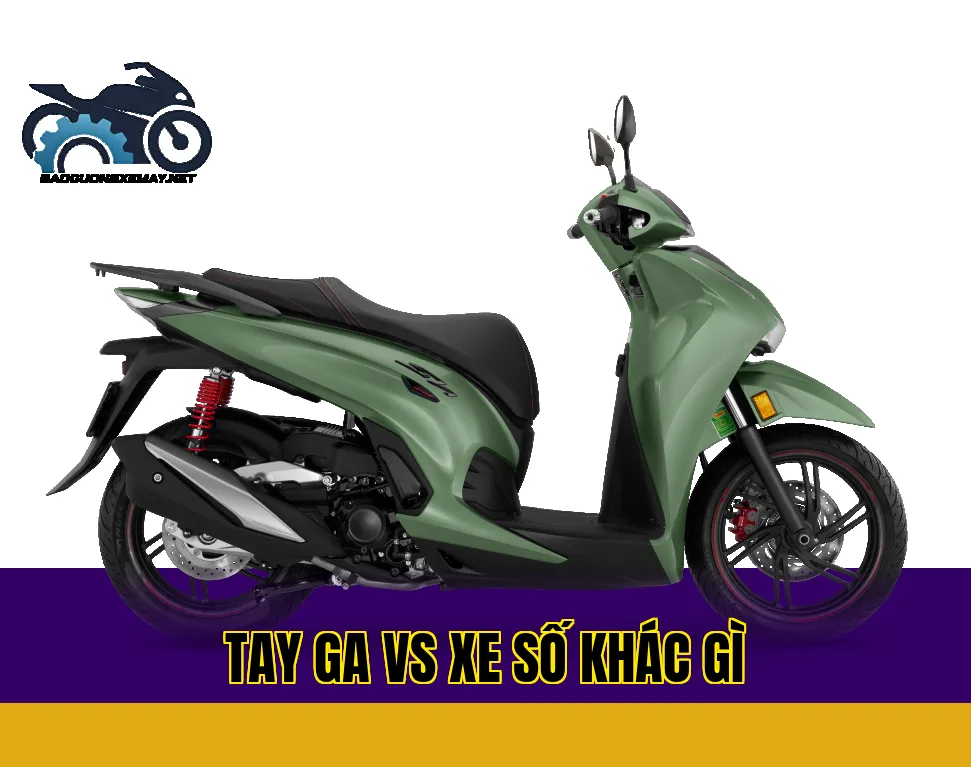 Tay ga vs xe số khác gì