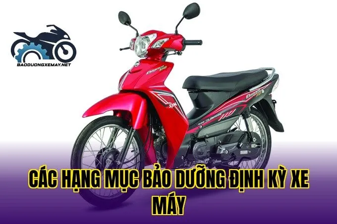 các hạng mục bảo dưỡng định kỳ xe máy
