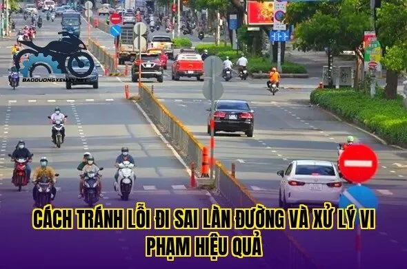 cách tránh lỗi đi sai làn đường và xử lý vi phạm hiệu quả