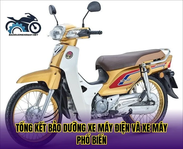 tổng kết bảo dưỡng xe máy điện và xe máy phổ biến