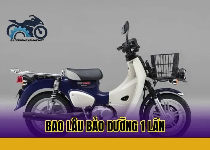 Bao lâu bảo dưỡng 1 lần