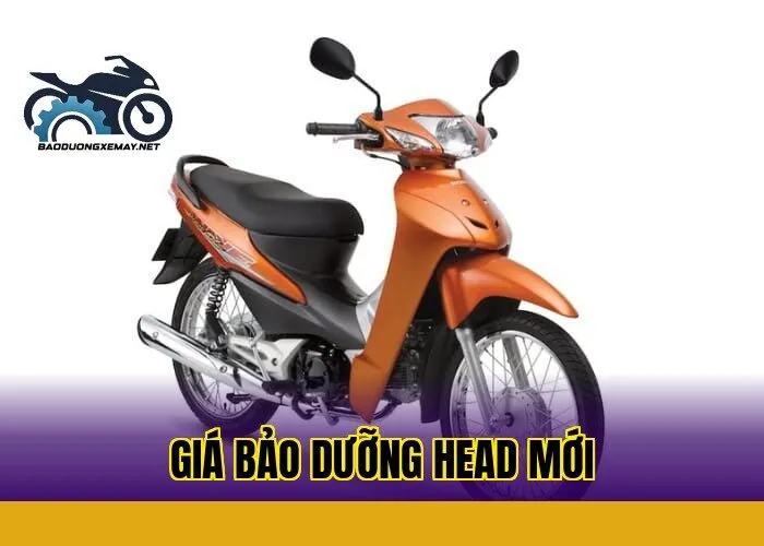 Giá bảo dưỡng HEAD mới