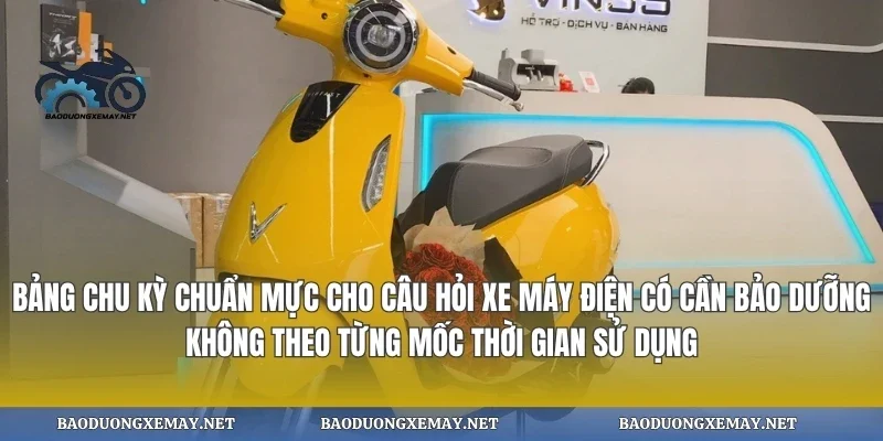Bảng chu kỳ chuẩn mực cho câu hỏi xe máy điện có cần bảo dưỡng không theo từng mốc thời gian sử dụng