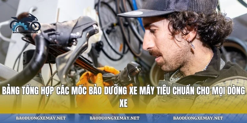 Bảng tổng hợp các mốc bảo dưỡng xe máy tiêu chuẩn cho mọi dòng xe