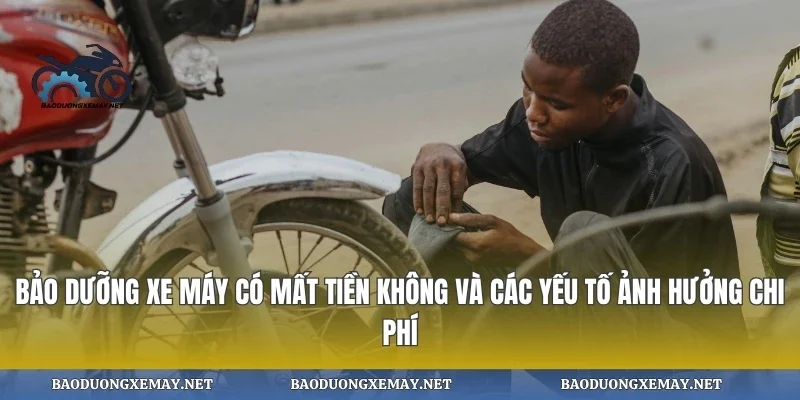 Bảo dưỡng xe máy có mất tiền không và các yếu tố ảnh hưởng chi phí