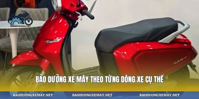 Bảo dưỡng xe máy theo từng dòng xe cụ thể
