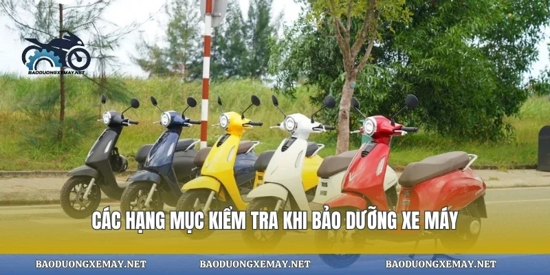 Các hạng mục kiểm tra khi bảo dưỡng xe máy