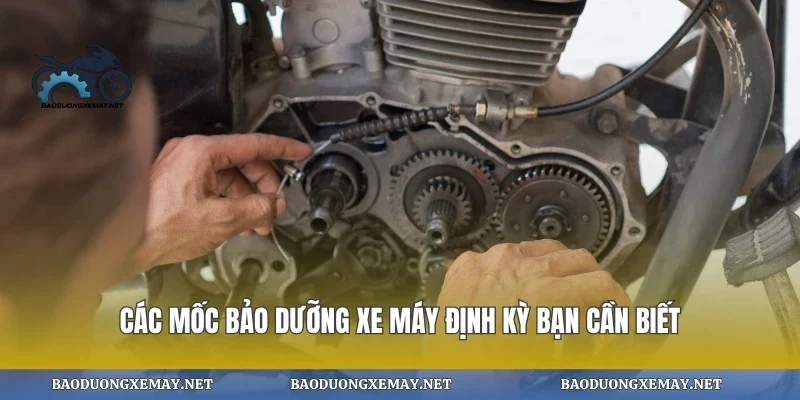 Các Mốc Bảo Dưỡng Xe Máy Định Kỳ Bạn Cần Biết