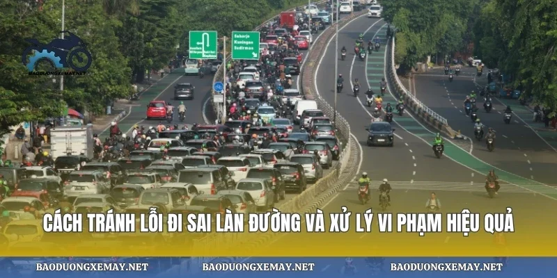 Cách tránh lỗi đi sai làn đường và xử lý vi phạm hiệu quả