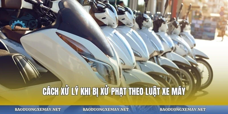 Cách xử lý khi bị xử phạt theo luật xe máy