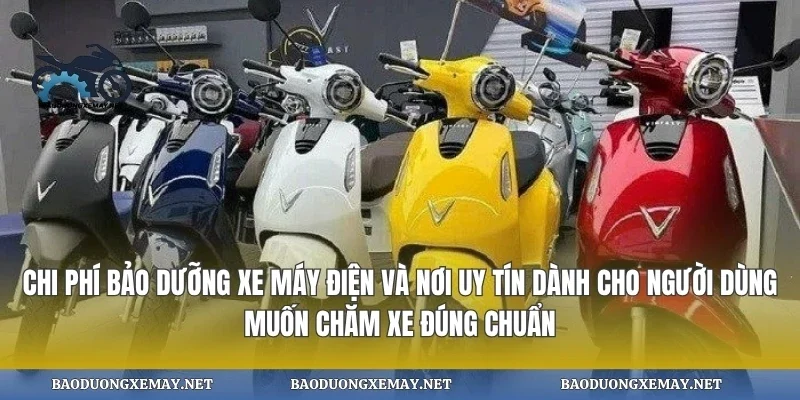 Chi phí bảo dưỡng xe máy điện và nơi uy tín dành cho người dùng muốn chăm xe đúng chuẩn