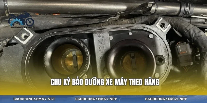 Chu kỳ bảo dưỡng xe máy theo hãng