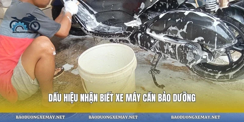 Dấu hiệu nhận biết xe máy cần bảo dưỡng