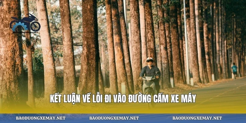 Kết luận về lỗi đi vào đường cấm xe máy