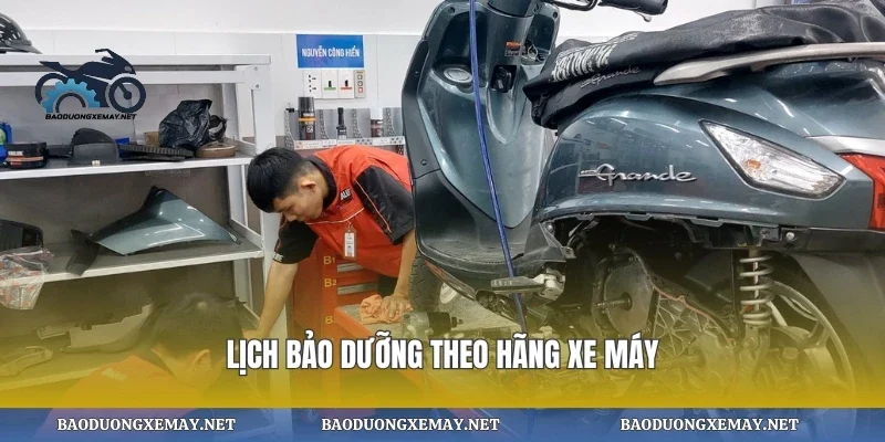 Lịch bảo dưỡng theo hãng xe máy
