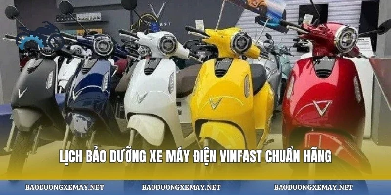 Lịch bảo dưỡng xe máy điện vinfast chuẩn hãng