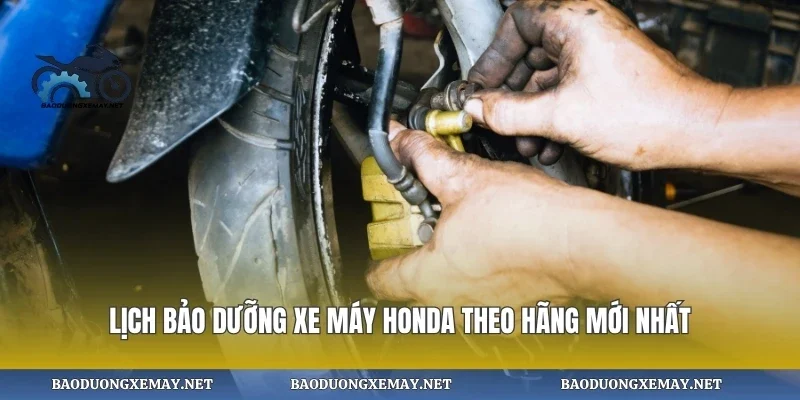 Lịch bảo dưỡng xe máy honda theo hãng mới nhất