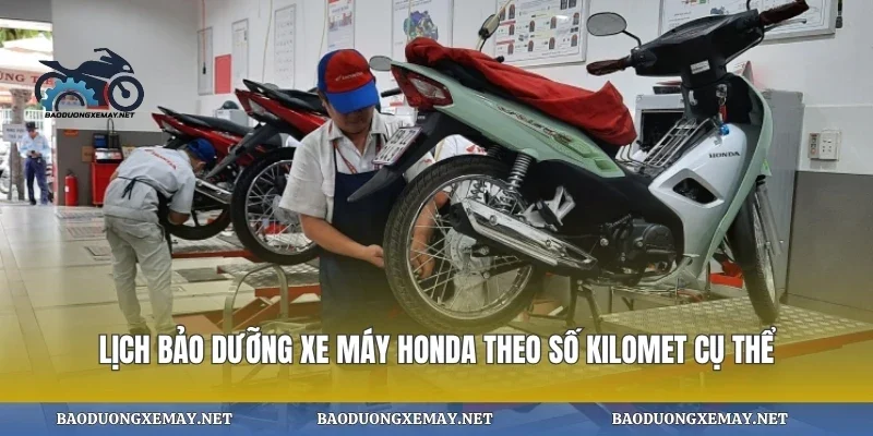 Lịch bảo dưỡng xe máy honda theo số kilomet cụ thể