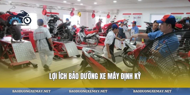 Lợi ích bảo dưỡng xe máy định kỳ