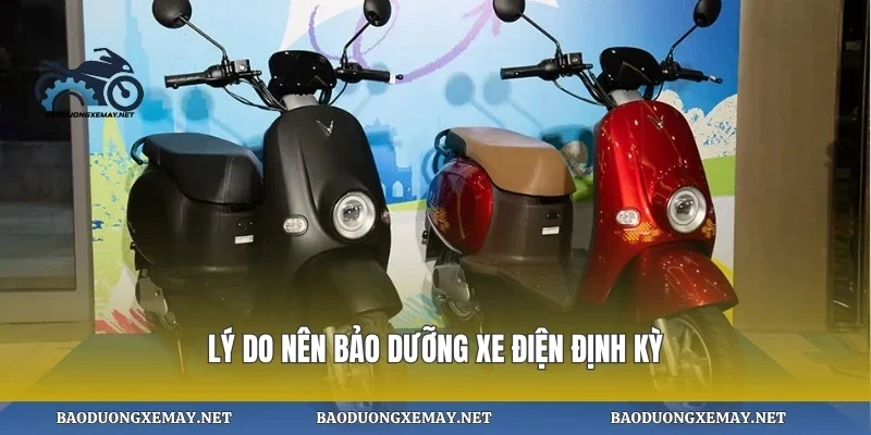 Lý do nên bảo dưỡng xe điện định kỳ