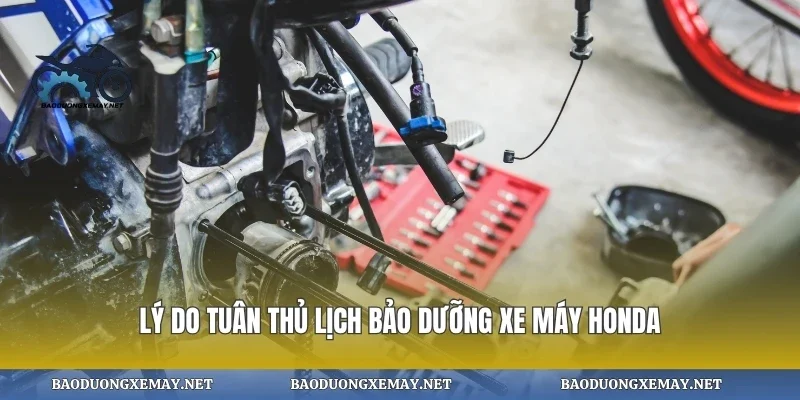 Lý do tuân thủ lịch bảo dưỡng xe máy honda