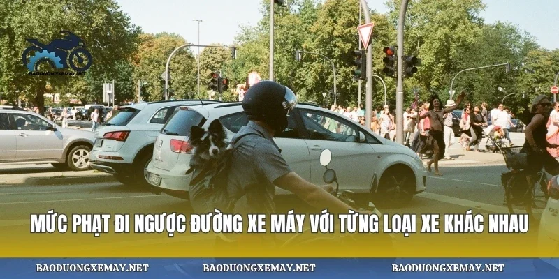 Mức phạt đi ngược đường xe máy với từng loại xe khác nhau