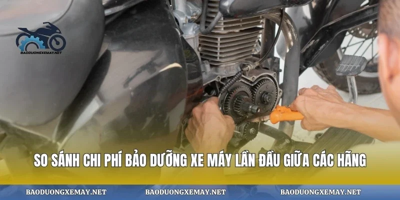 So sánh chi phí bảo dưỡng xe máy lần đầu giữa các hãng