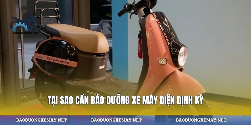 Tại sao cần bảo dưỡng xe máy điện định kỳ