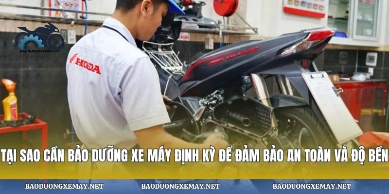 Tại sao cần bảo dưỡng xe máy định kỳ để đảm bảo an toàn và độ bền