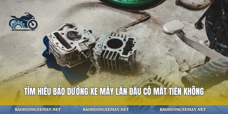 Tìm Hiểu Bảo Dưỡng Xe Máy Lần Đầu Có Mất Tiền Không