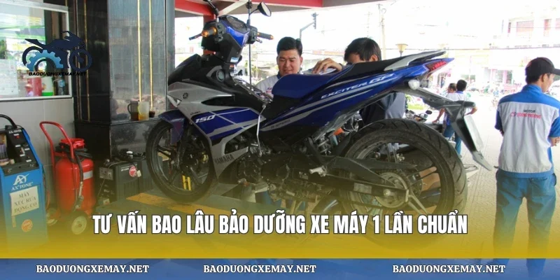 Tư vấn bao lâu bảo dưỡng xe máy 1 lần chuẩn