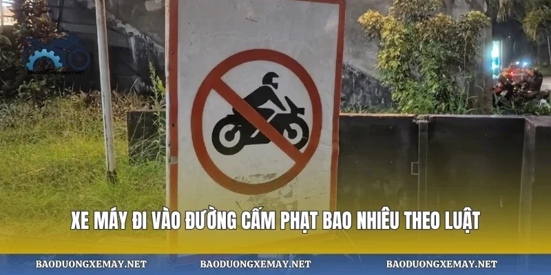 Xe máy đi vào đường cấm phạt bao nhiêu theo luật
